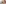 challenge banner image