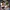 challenge banner image
