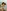 challenge banner image