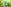 challenge banner image