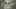 Glass Image Background
