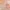 challenge banner image