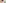 challenge banner image