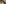 challenge banner image