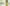 challenge banner image