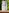 challenge banner image