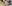 challenge banner image