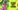 Glass Image Background