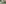 challenge banner image