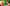 challenge banner image