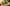 challenge banner image
