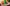 challenge banner image