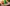 challenge banner image