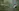 Glass Image Background