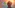 challenge banner image
