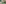 challenge banner image