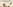 Glass Image Background
