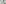challenge banner image