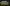 challenge banner image