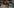 Glass Image Background