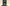 Glass Image Background