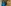 challenge banner image