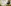 Glass Image Background