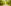 Glass Image Background