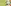 Glass Image Background