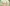 Glass Image Background