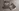 Glass Image Background