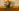 Glass Image Background