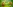 Glass Image Background
