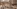 Glass Image Background