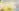 challenge banner image