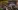 Glass Image Background