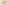 Glass Image Background