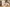 Glass Image Background