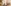 Glass Image Background