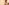 Glass Image Background