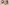 Glass Image Background