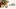 Glass Image Background