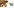 Glass Image Background
