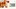 Glass Image Background