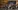 Glass Image Background