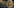 Glass Image Background