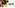 Glass Image Background