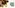Glass Image Background
