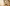 Glass Image Background