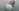 Glass Image Background